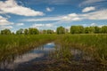 Reflection of the sky in water in a swamp Royalty Free Stock Photo