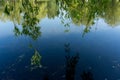 Reflection of the sky and willow branches in water surface Royalty Free Stock Photo