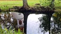 Reflection on the smooth surface of the water in the city canal tree trunk and stone tower