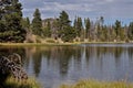 Reflection on Sprague Lake Royalty Free Stock Photo