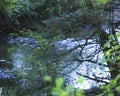 Stream reflection rails to trails woods Avon Connecticut Royalty Free Stock Photo