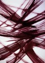 Reflection of the structure of a building or object. Royalty Free Stock Photo