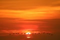 reflection sun dawn on sea silhouette group of fly birds on sky line