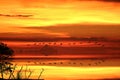 reflection sun dawn on sea silhouette ship on sky line Royalty Free Stock Photo