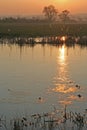 Reflection of the sun in a pond