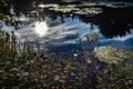 Reflection of sun shining on a lake,summer afternoon Royalty Free Stock Photo