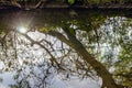 Reflection of the sun, sky, trees and grass in the water of a flowing stream in the early spring morning. Underground sun.