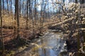 Reflection of the sun in the water, a small river in the autumn in the forest in the parkon Brandywine Creek in Cuyahoga Valley Royalty Free Stock Photo