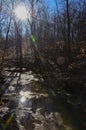 Reflection of the sun in the water, a small river in the autumn in the forest in the parkon Brandywine Creek in Cuyahoga Valley Royalty Free Stock Photo