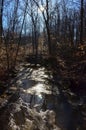 Reflection of the sun in the water, a small river in the autumn in the forest in the parkon Brandywine Creek in Cuyahoga Valley Royalty Free Stock Photo