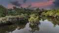 Reflection of a sunset by a lagoon inside the Amazon Rainforest Royalty Free Stock Photo