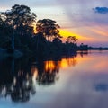 Amazon Rainforest Reflection at Sunset Royalty Free Stock Photo