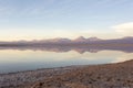 Reflection at sunset in laguna Chaxa Royalty Free Stock Photo