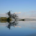 Reflection in swimming pool lake Manyara Royalty Free Stock Photo