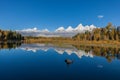 Reflection of the Tetons in fall Royalty Free Stock Photo