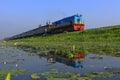 Reflection of a train moving near green grassy land