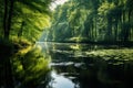 Reflection of a tranquil forest in a calm river