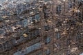 Reflection tree branches and building in the puddle, urban background Royalty Free Stock Photo