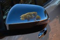 Reflection of tree in car wing mirror in Australian outback