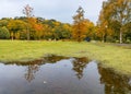 Reflection of a tree full of fall colors and a black cabin Royalty Free Stock Photo