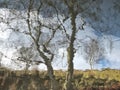 Reflection of a tree and hillside blurred by rippling water with blue cloudy sky Royalty Free Stock Photo