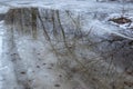 Reflection of a tree in  ice puddle,  season specific background Royalty Free Stock Photo