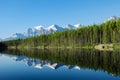 Reflection of a tree line and the snow-capped mountains on the mesmerizing Herbert lake in Canada Royalty Free Stock Photo