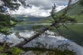 Reflection tree in Pozarym lake, West Sayan Royalty Free Stock Photo