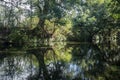 Reflection of the tree in the river, beautiful view of a country town Royalty Free Stock Photo