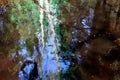 Reflection of a tree in a river Royalty Free Stock Photo