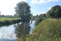 A reflection of a tree in the River Parrett in Langport, Somerset as it flows through the public park Royalty Free Stock Photo