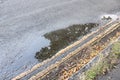 Reflection of tree and sky on a puddle of water in road Royalty Free Stock Photo