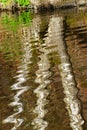 tree reflected in the canal water. Royalty Free Stock Photo