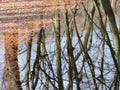 Reflection of tree trunks in a lake as an impressionist painting