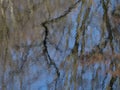 Reflection of tree trunks in a lake as an impressionist painting