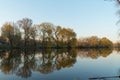 Reflection of a tree in the water. bank of the river