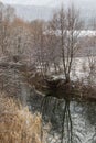 Reflection of a tree in the water of the Golyama Kamchia river