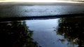 Reflection of tree on water.