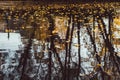 Reflection of trees in the autumn pond close-up. Yellowed leaves fall on the water surface Royalty Free Stock Photo