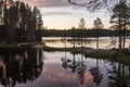 Forest at sunset over the lake Royalty Free Stock Photo