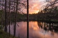 Forest at sunset over the lake Royalty Free Stock Photo