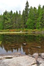 Reflection of the trees, coupled with the clarity and stillness of the water.