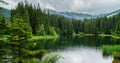 Reflection of trees in the forest lake, rainy day, Slovakia