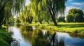 reflection trees and grass Royalty Free Stock Photo
