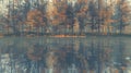 reflection of trees in the lake, autumn landscape with a fog. Royalty Free Stock Photo