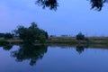 Reflection of trees on the lake on a summer evening Royalty Free Stock Photo