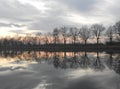 Reflection of trees in the lake. Royalty Free Stock Photo