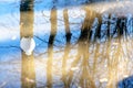 Reflection of trees, lanterns and blue sky in a thawing puddle, a symbol of the beginning of spring and a drop
