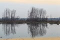 Reflection of trees in a polluted water body. Slight tinges of orange colour due to Sunset reflected on lake surface Royalty Free Stock Photo