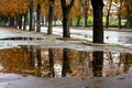 Reflection of trees in the puddle of the city park in the fall after the rain_ Royalty Free Stock Photo